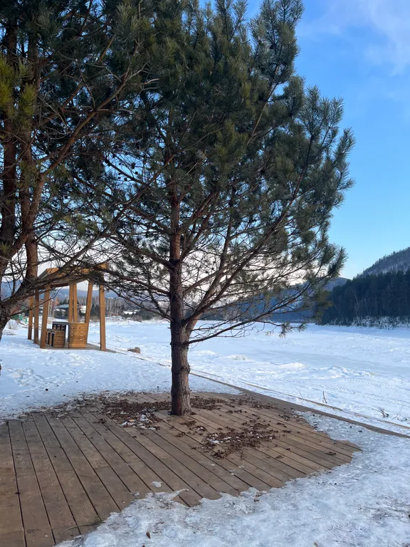 Уютный дом около реки Мана с баней