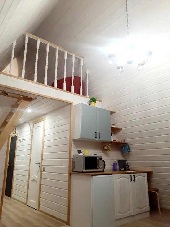 Яркий, новый, стильный большой коттедж Хижина зайца