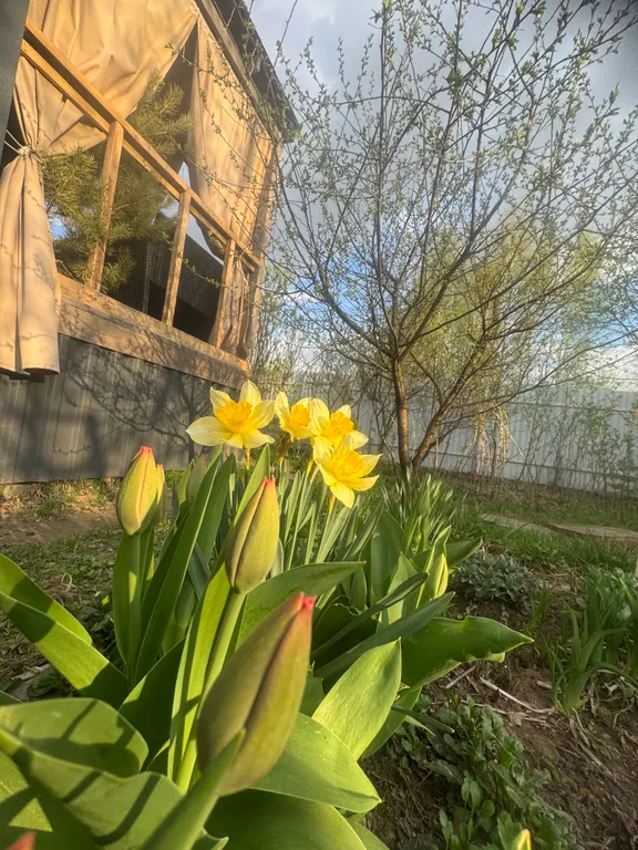 Домик с чаном в 10 минутах от Нижнего Новгорода