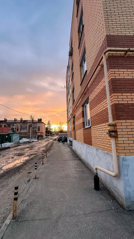 Апартаменты рядом с бором в 15 минутах от центра города