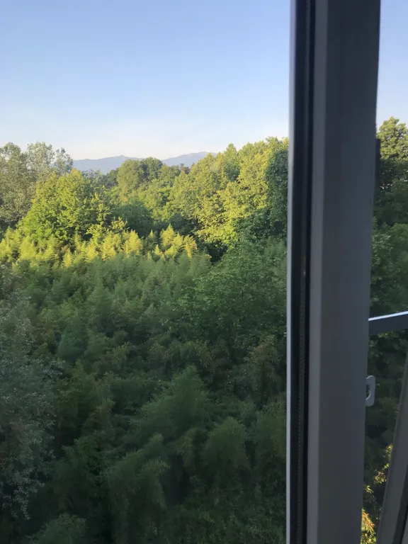 Квартира с видом на парк Южных культур