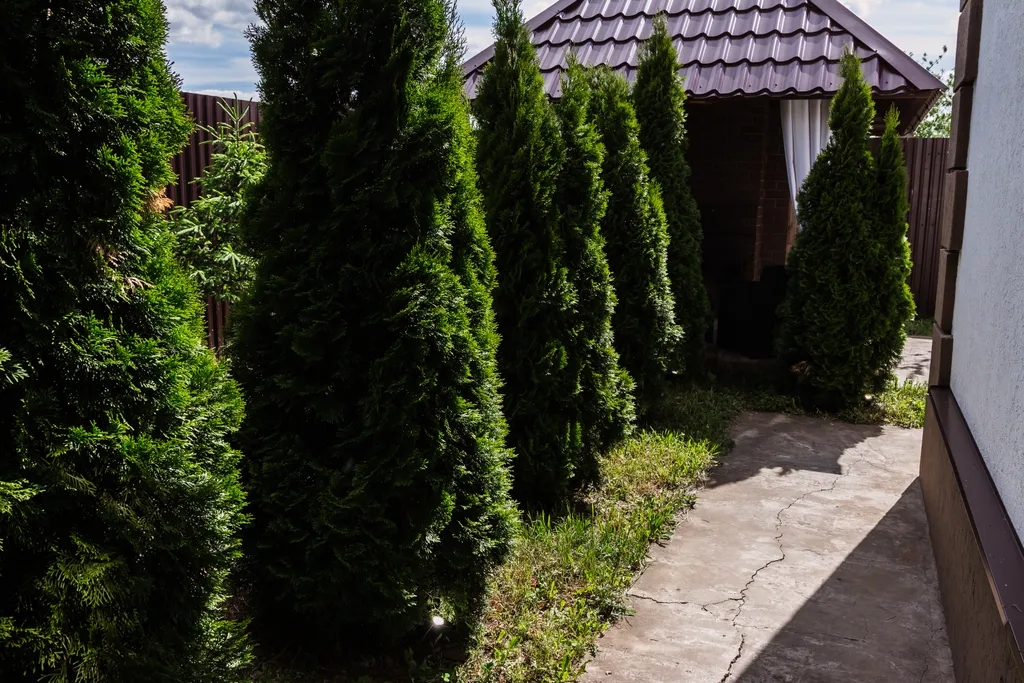 Коттедж Жемчужный с жаркой баней на дровах