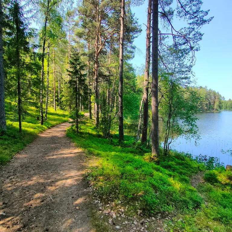 Дом на Селигере