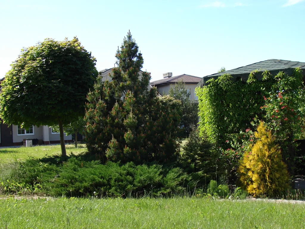 Комната с выходом на лужайку