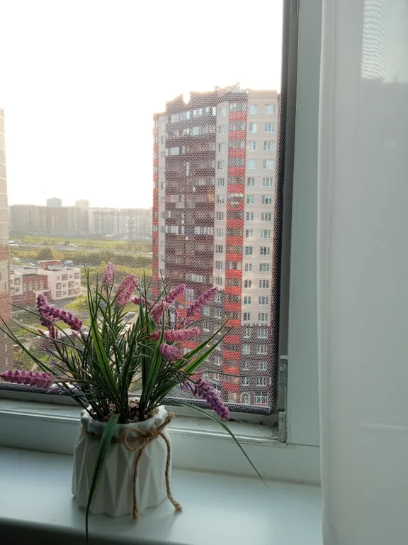 Уютная студия в пешей доступности от метро Девяткино