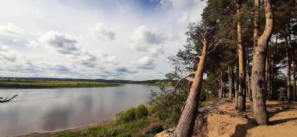 Уютная и светлая квартира рядом с кинотеатром и сосновым парком