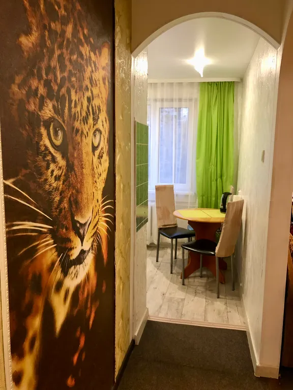 Апартаменты Драная кошка