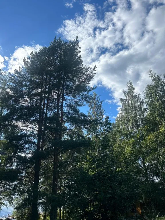 Уютный дом с прекрасным видом на лес и озеро