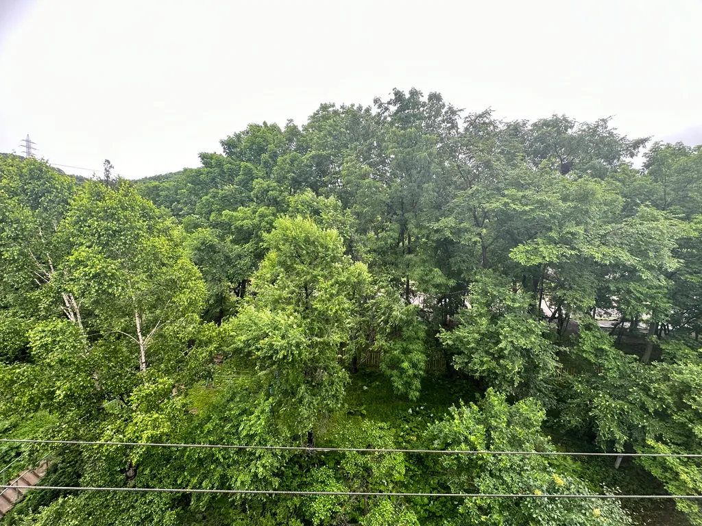 Квартира рядом с пляжем Читувай