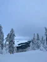 Александр Нестеров