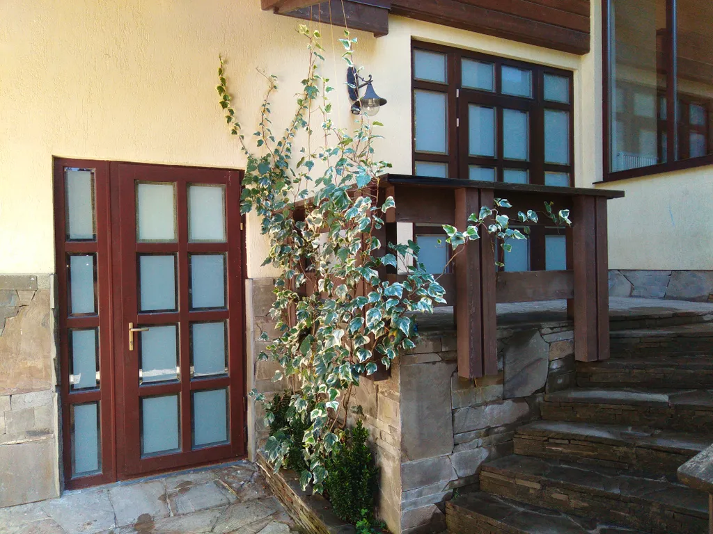 Коттедж Шале Мёбиус — Красная Поляна