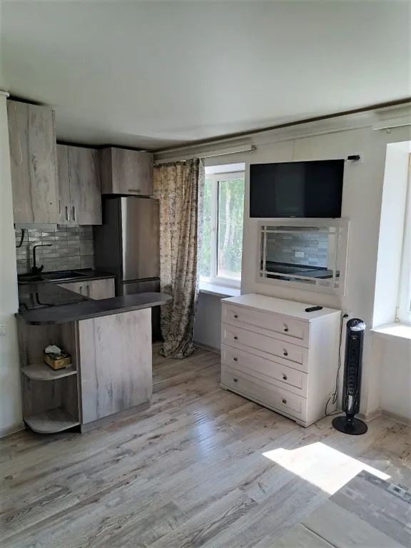 Avchieva's apartment on P. Sevak street