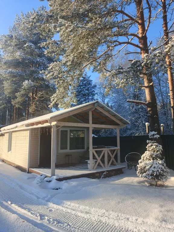 Райское местечко у леса