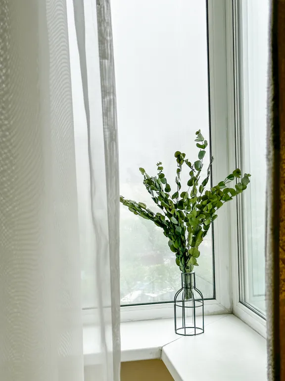 Уютная светлая квартира на 2й Круговой