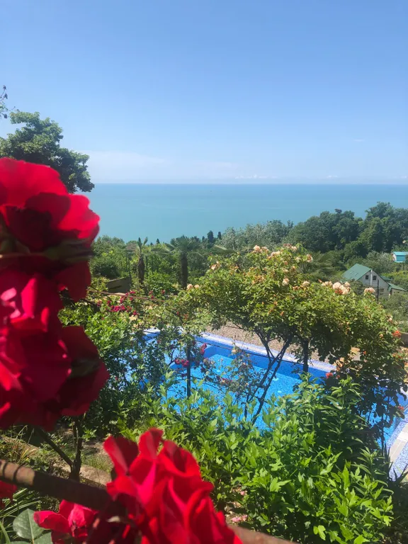 Дом с бассейном у моря участок - 24 сотки райского сада