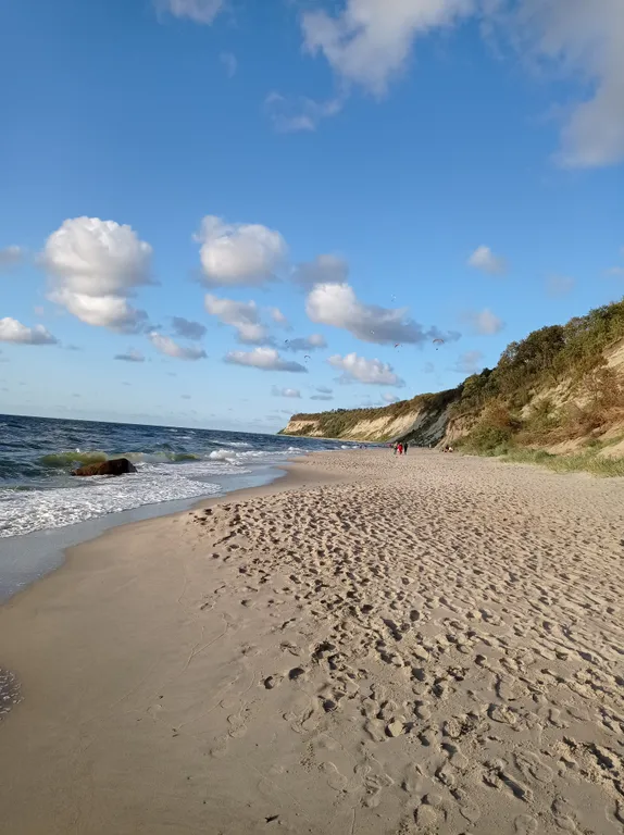 Эксклюзивные апартаменты у моря в Светлогорске