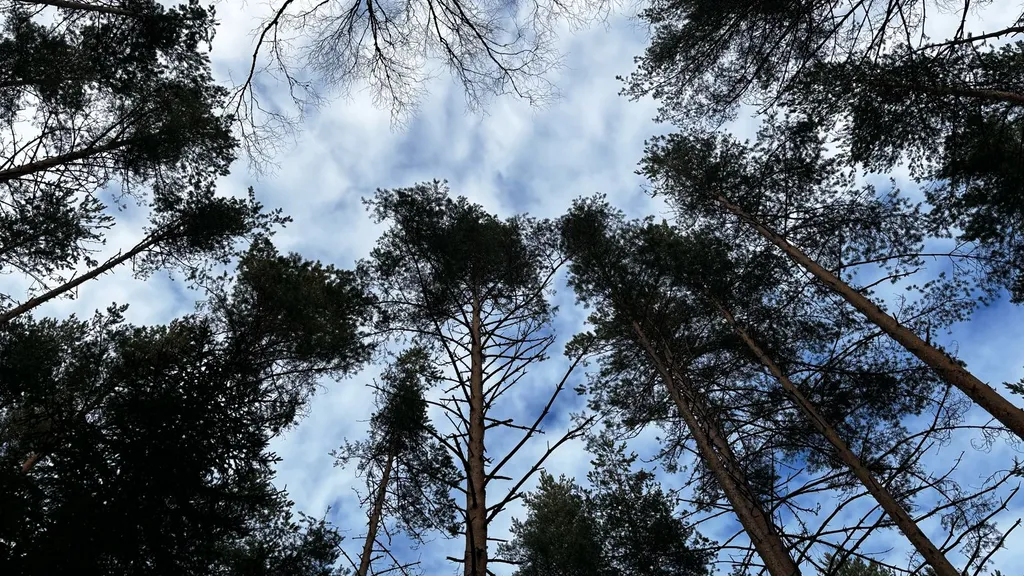 Коттедж Ладожские дюны, комфортный дом с панорамными окнами до 7-ми гостей — Ларионово