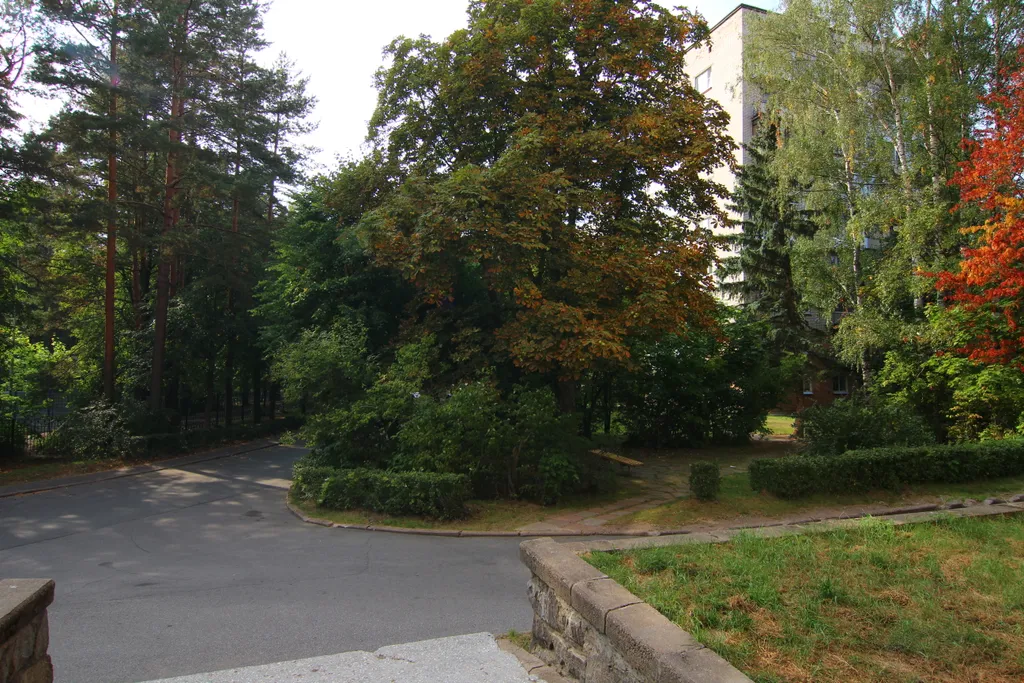 Однокомнатная квартира Полулюкс