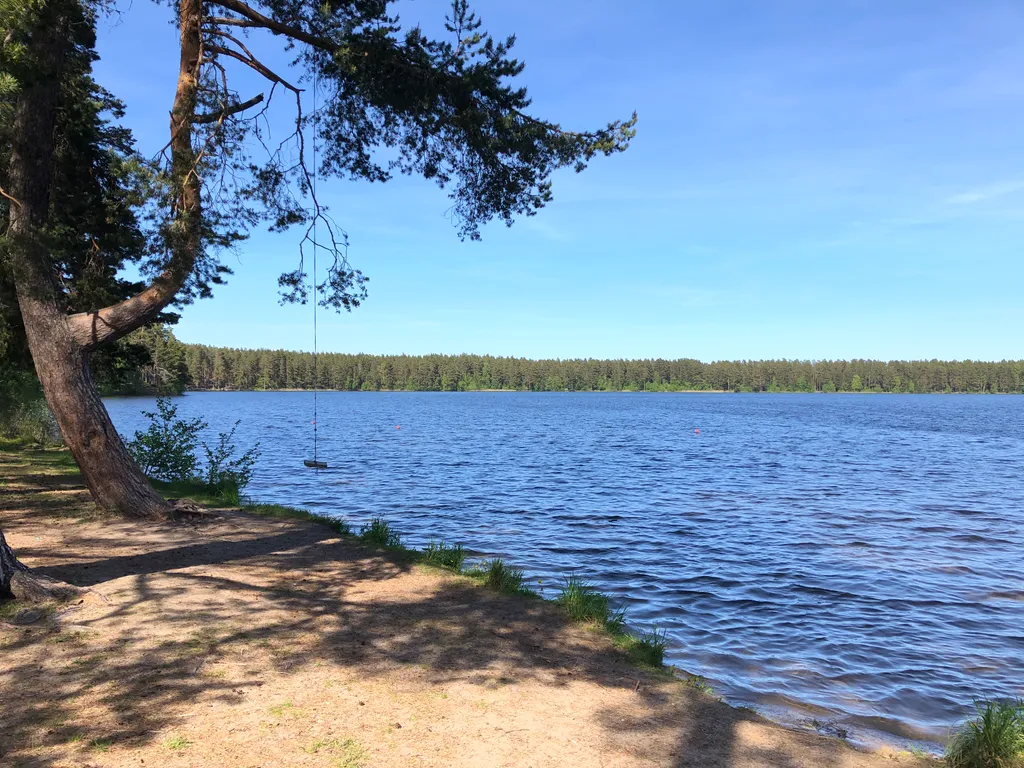 Коттедж Уютный просторный дом у лесного озера — Ларионово