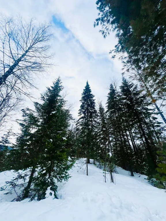 Уютный отдельно стоящий дом