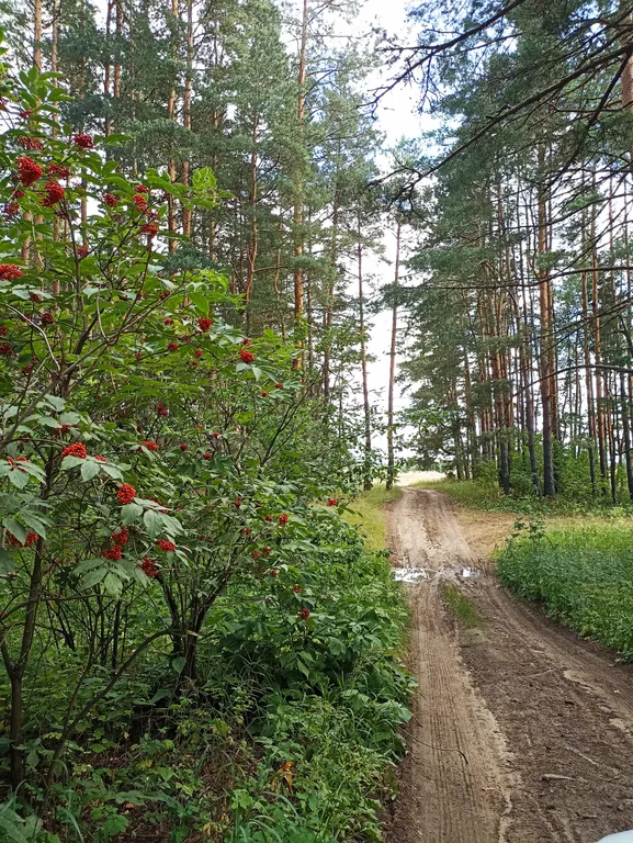 Уютный домик рядом с озером