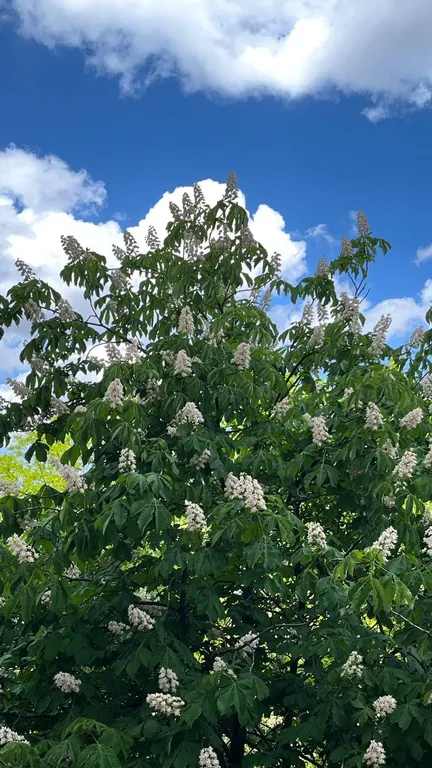 Уют и комфорт у метро Пушкинская 3 мин