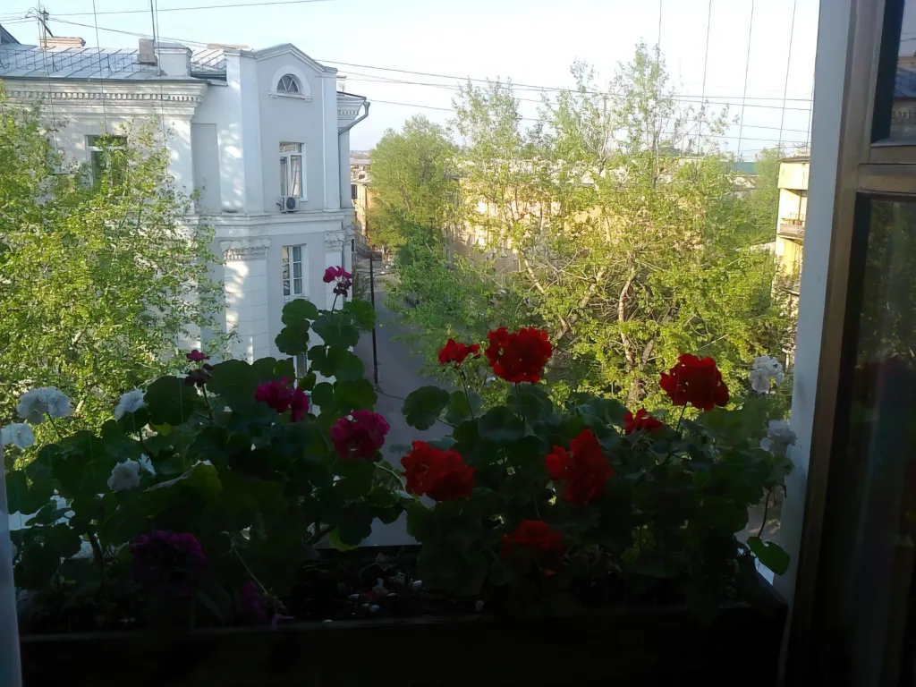 Отдельная комната в уникальной квартире с камином в центре