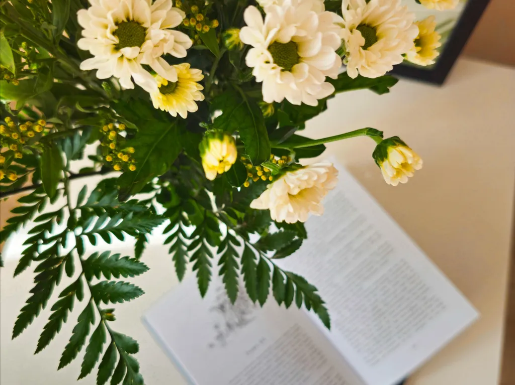 Евродвушка в центре