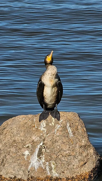 В гостях в Лебяжье