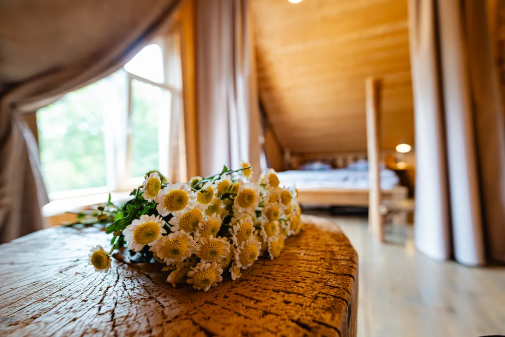 Дом с деревом