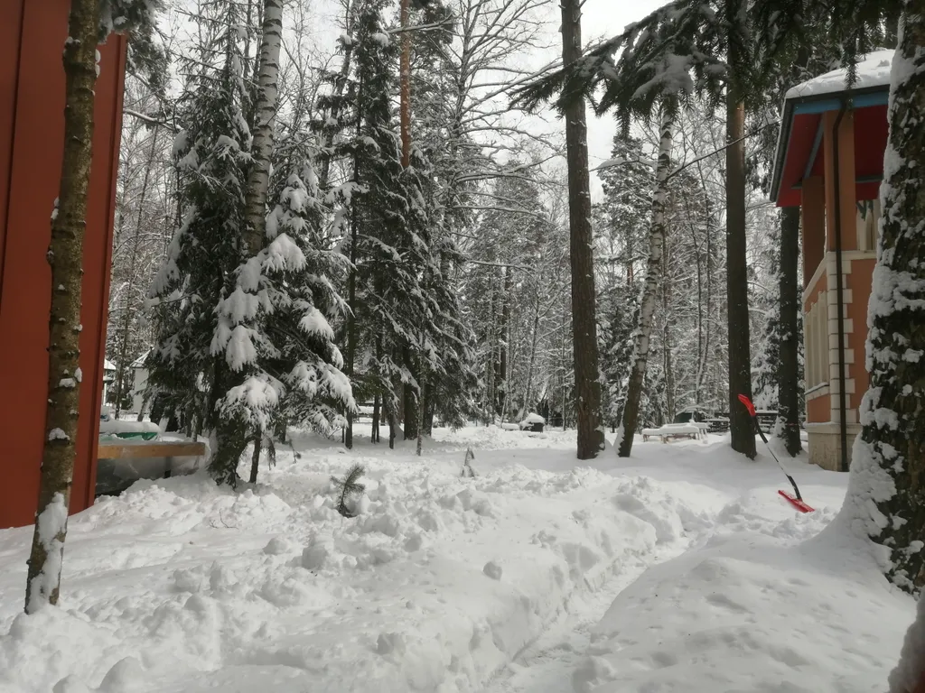 Барнхаус в лесу с розовой гостиной