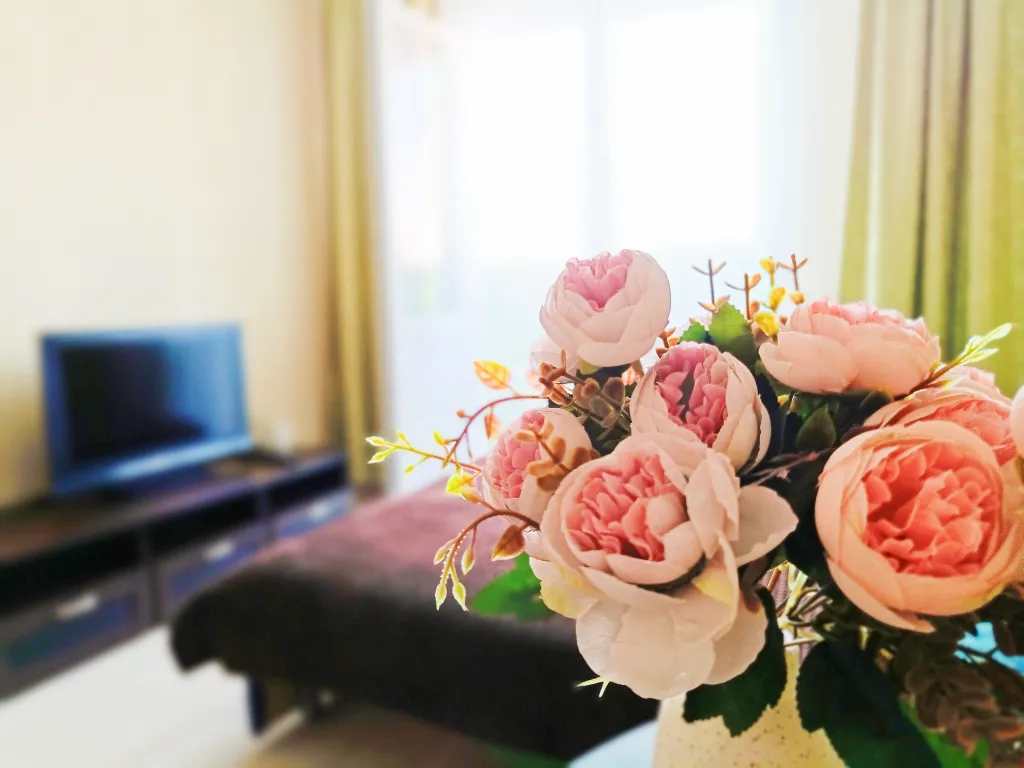 Уютная студия рядом с сосновой рощей