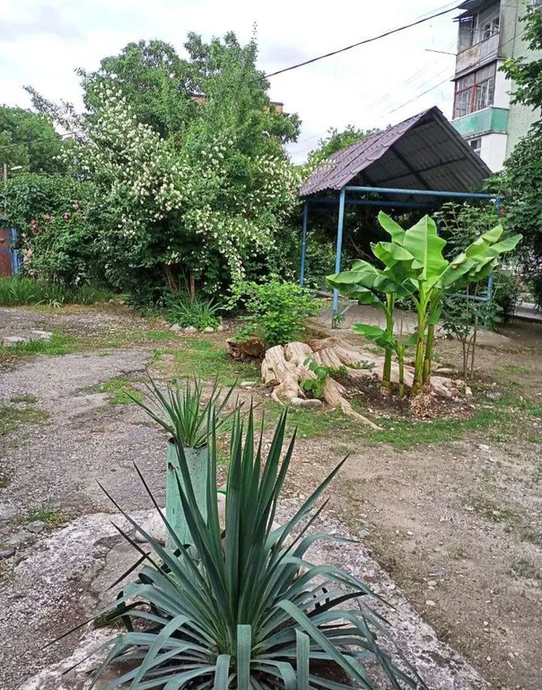 Уютная квартира в центре города рядом с парком