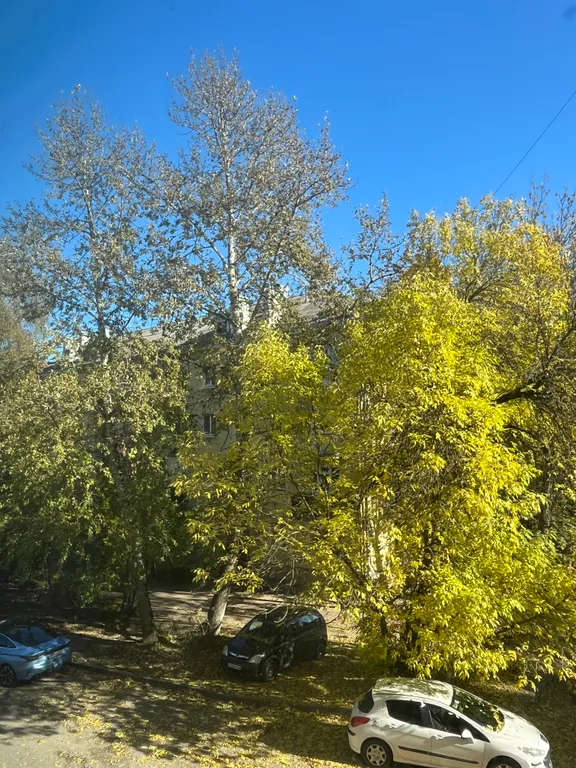 Уютная, тихая квартира в центре Пскова