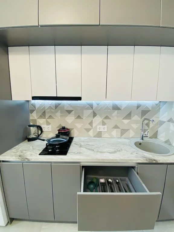 Апартаменты люкс с евроремонтом