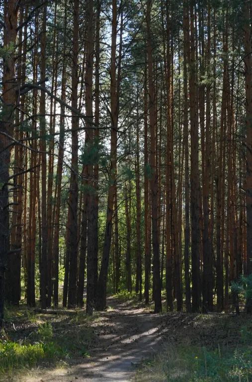 Квартира на берегу озера в национальном парке Марий Чодра