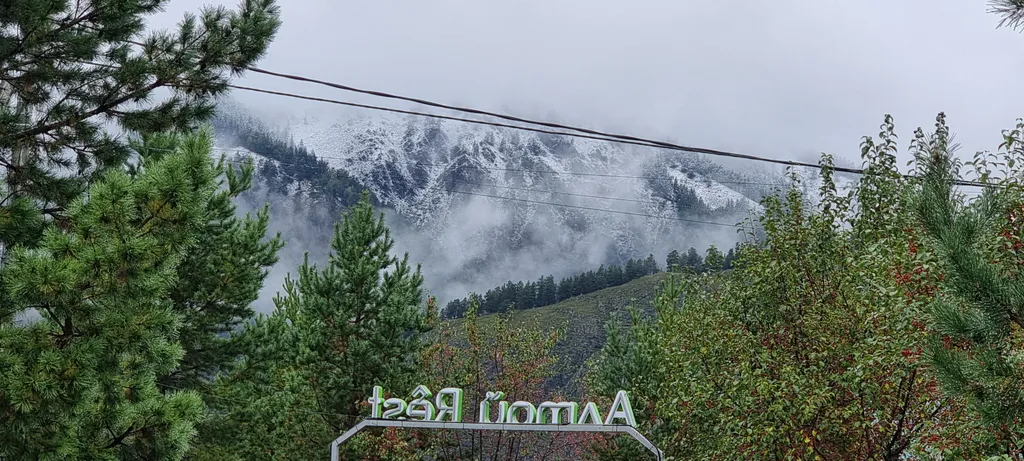 Шале 3-х местный №2