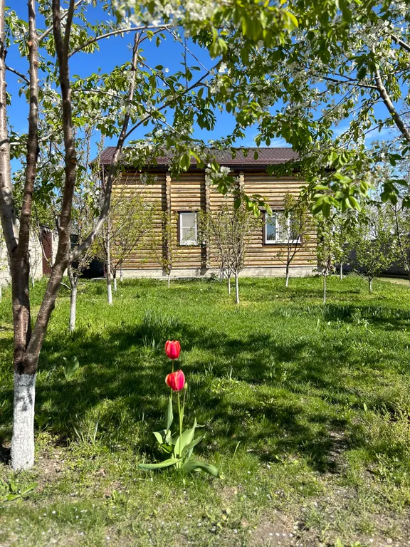 Уютный деревянный дом с видом на горы