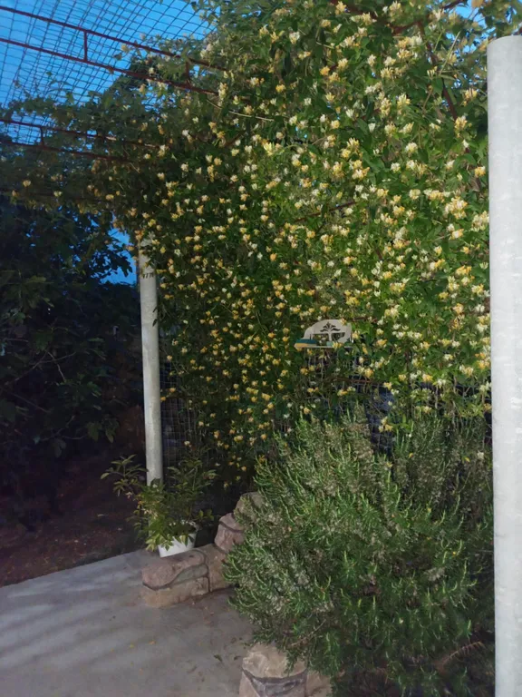 Стандарт двухместный с личной кухней