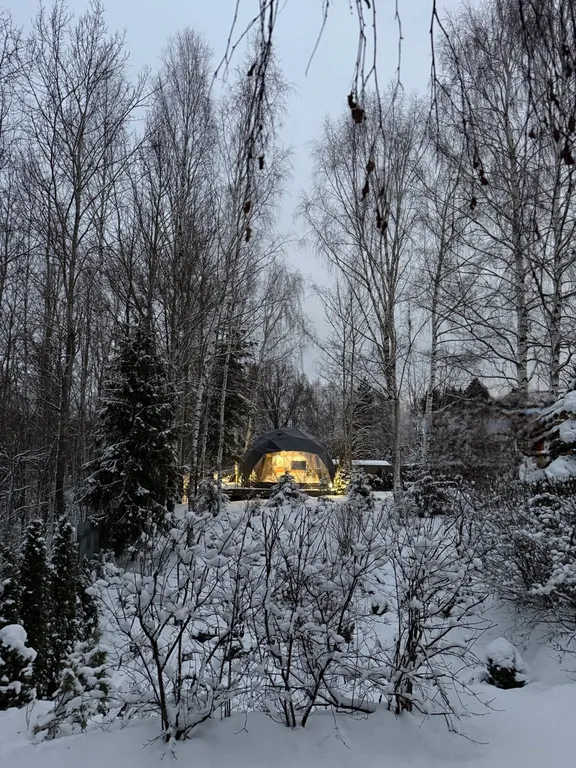 Новая сфера для глэмпинга Бёрд&Self vibe с дизайнерским интерьером