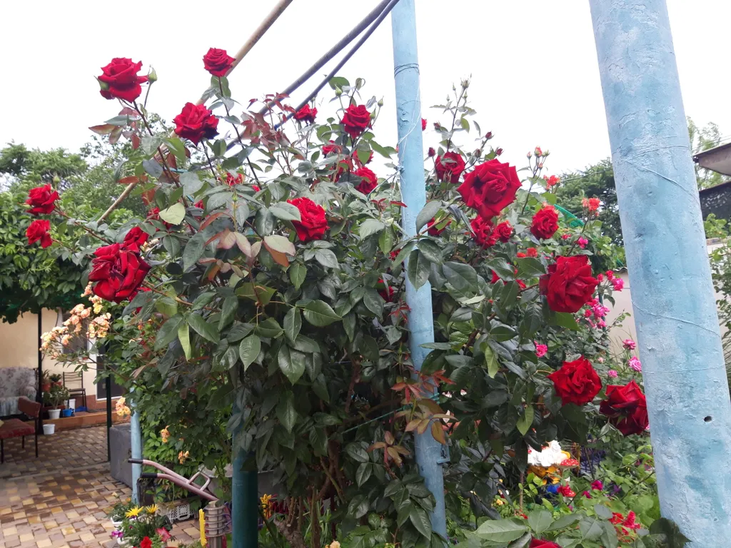 Комфортабельные апартаменты