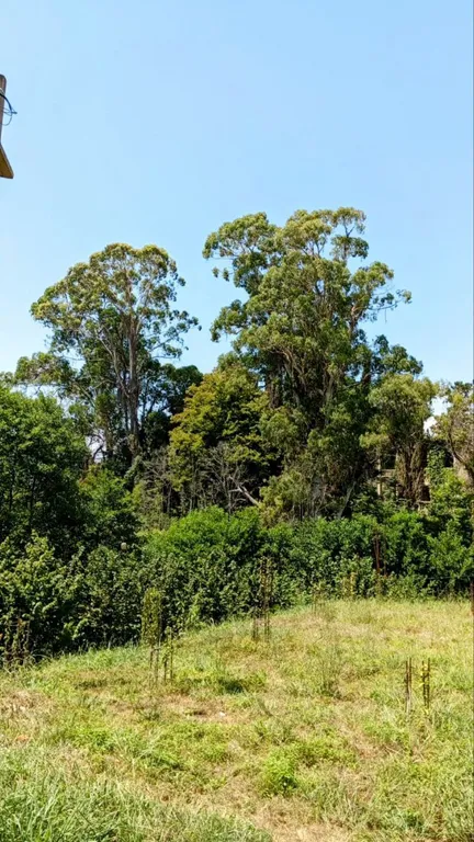 Коттедж Дом для большой семьи — Сухум