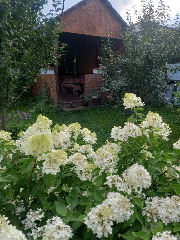 Дом в горах