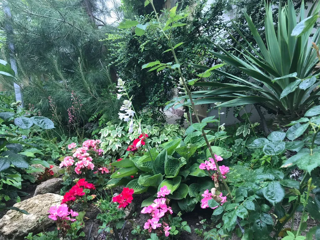 Квартира Комната — Анапа