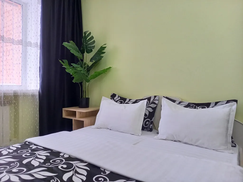 Звёздный оазис