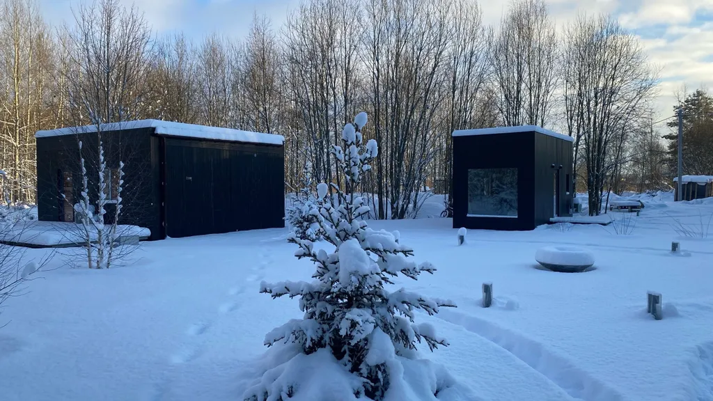 Коттедж Домики с панорамными окнами и видом на лес — Глинка