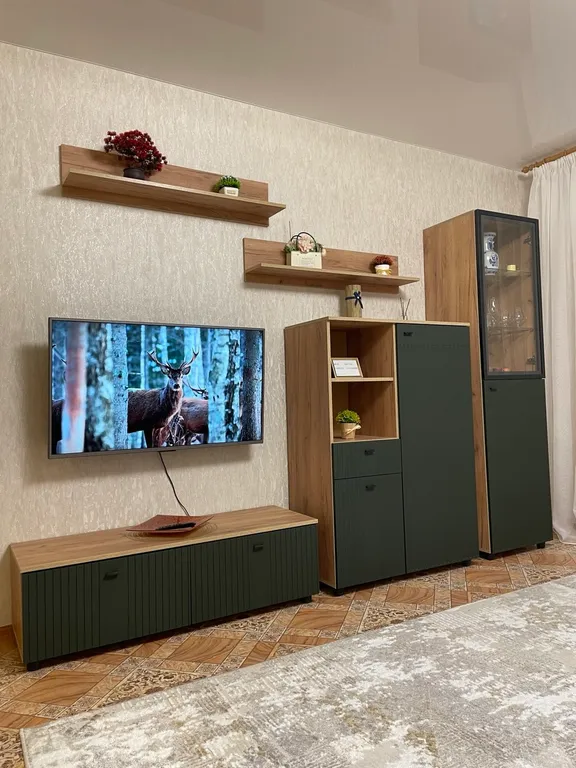 Квартира 1-комнатная квартира в самом центре — Луганск