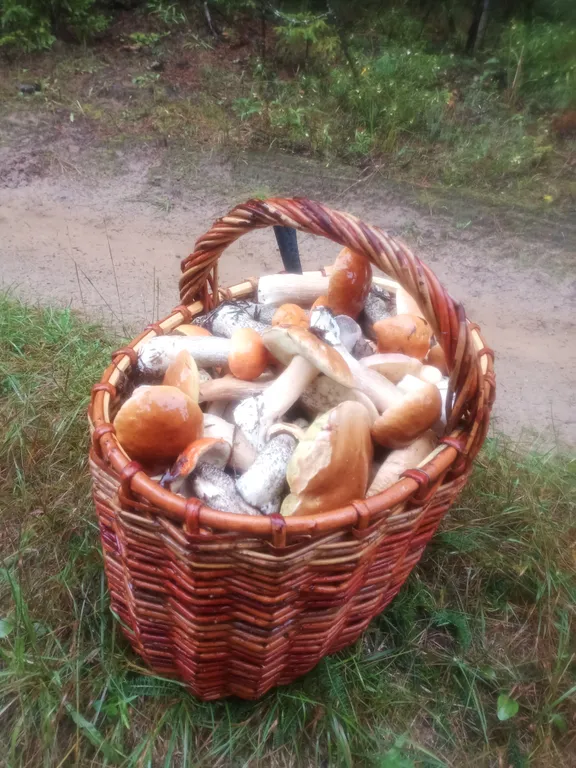 Домик у реки