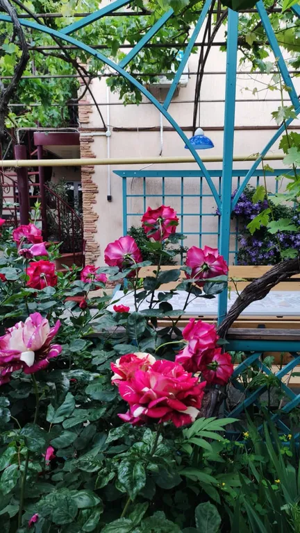 Квартира Комната — Анапа