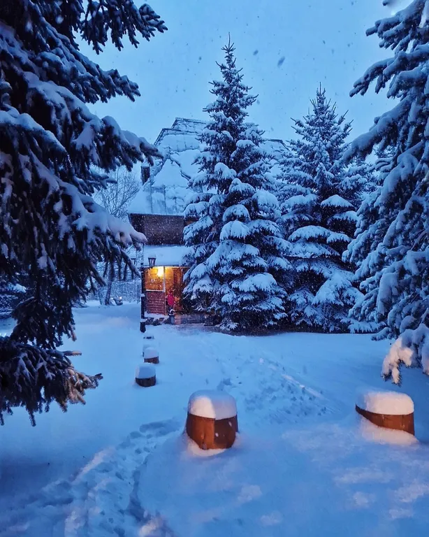 Коттедж Банковская Дача